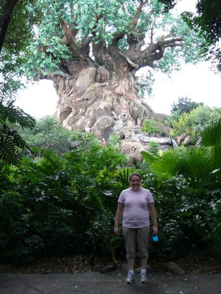 Ashley and the Tree of Life.JPG